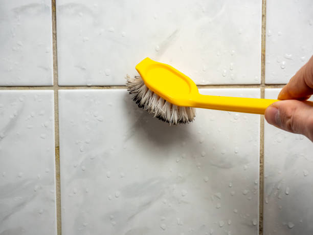Best Fast Mold Removal  in Mcchord Af, WA