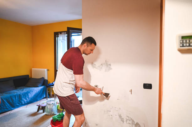 Mold Removal Process in Mcchord Af, WA